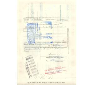 Облигация (сертификат на 100 акций) 1979 года США