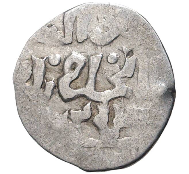 Монета Данг (Дирхем) Золотая Орда (Артикул M2-53799)