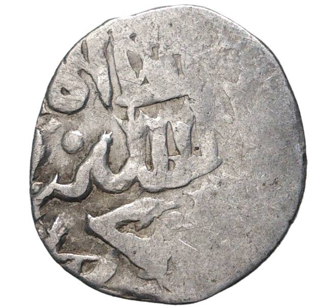Монета Данг (Дирхем) Золотая Орда (Артикул M2-53807)