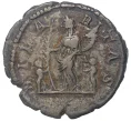 Монета 1 денарий 199-207 года Римская Империя — Юлия Домна (Артикул K11-6262)