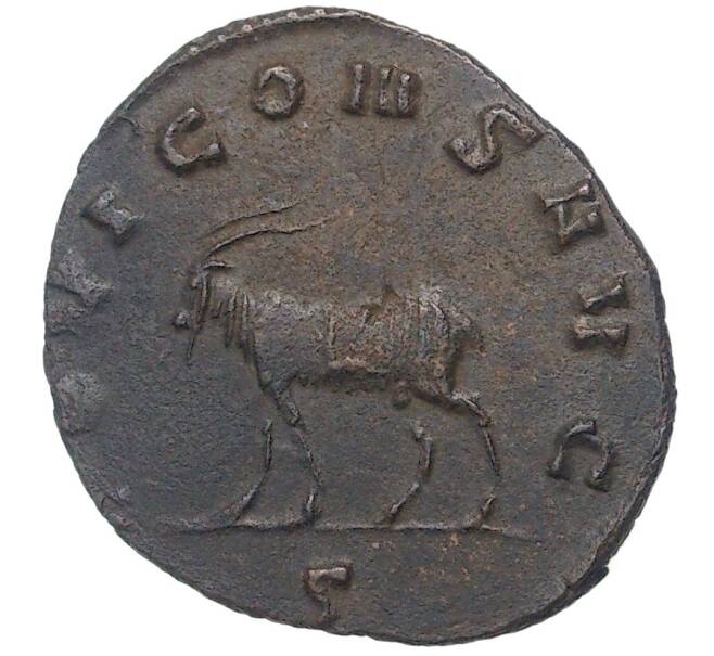 Монета Антониниан 253-268 года Римская Империя — Галлиен (Артикул K11-6266)