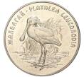 Монета 50 тенге 2007 года Казахстан «Красная книга — Колпица» (Артикул M2-57290)