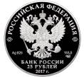 Монета 25 рублей 2017 года СПМД «Херсонес Таврический» (Артикул M1-53193)