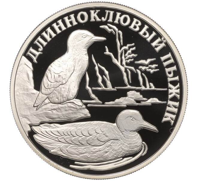 Монета 1 рубль 2005 года СПМД «Красная книга — Длинноклювый пыжик» (Артикул K11-100753)