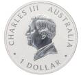 Монета 1 доллар 2024 года Австралия «Австралийский клинохвостый орел — 10-летие чеканки монет» (Артикул M2-73494)