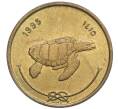 Монета 50 лари 1995 года Мальдивы (Артикул T11-06413)