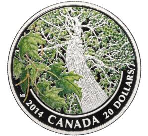 20 долларов 2014 года Канада «Канадский кленовый зонт — Весна»