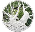 Монета 20 долларов 2013 года Канада «Канадский кленовый зонт — Весна» (Артикул M2-73585)