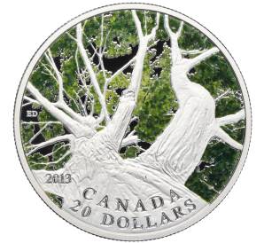 20 долларов 2013 года Канада «Канадский кленовый зонт — Весна»