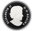 Монета 20 долларов 2013 года Канада «Канадский кленовый зонт — Весна» (Артикул M2-73585)