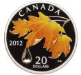 Монета 20 долларов 2012 года Канада «Сахарный клен и хрустальная капля дождя» (Артикул M2-73587)