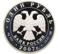 Монета 1 рубль 2007 года СПМД «Красная книга — Степной лунь» (Артикул K12-04665)