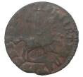 Монета Копейка 1714 года НД (Артикул M1-34683)