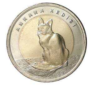 1 лира 2015 года Ангорская кошка — Фото №1