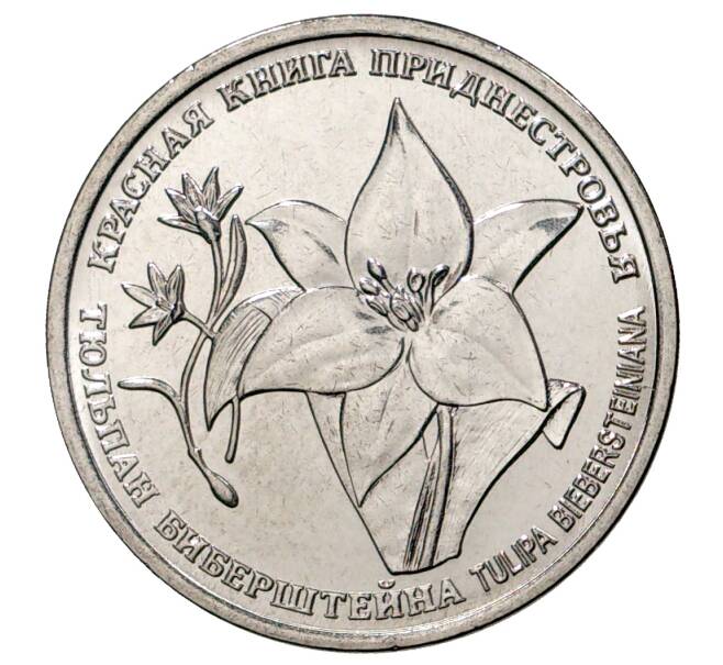 Монета 1 рубль 2019 года Приднестровье «Красная книга Приднестровья — Тюльпан Биберштейна» (Артикул M2-31059)