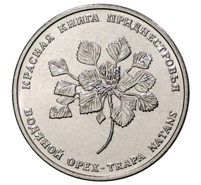 Монета 1 рубль 2019 года Приднестровье «Красная книга Приднестровья — Водяной орех» (Артикул: M2-32883) — Фото №1
