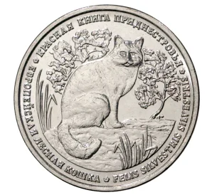1 рубль 2020 года Приднестровье «Красная книга Приднестровья — Европейская лесная кошка»