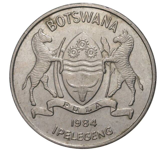 50 тхебе 1984 года Ботсвана