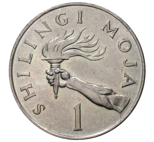 Монета 1 шиллинг 1982 года Танзания (Артикул M2-42405)