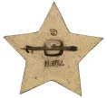 Значок «Звезда Октябренка» (Артикул H4-0714)