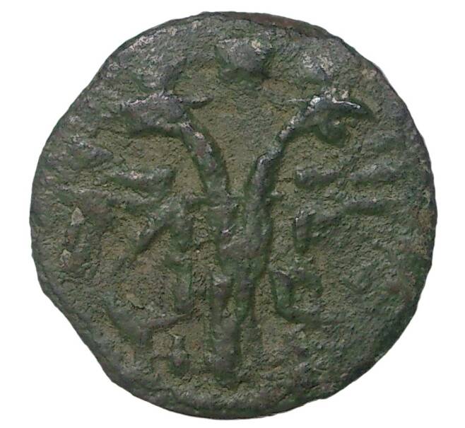 Монета Полушка «ВРП» 1719 года НД (Год буквами) (Артикул M1-35112)