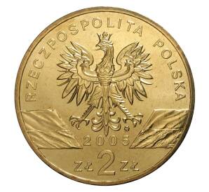 2 злотых 2005 года Филин — Фото №2