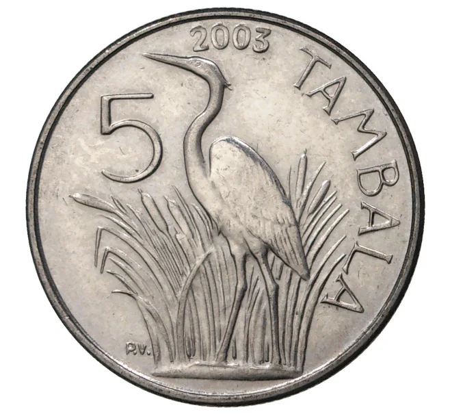 Монета 5 тамбала 2003 года Малави (Артикул M2-43843)