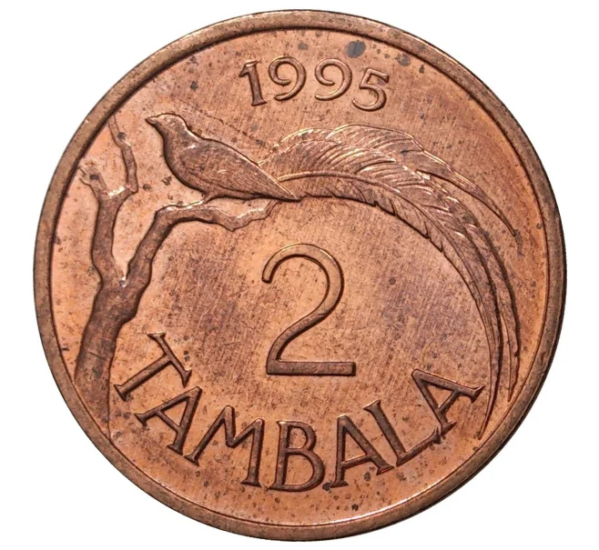 Монета 2 тамбала 1995 года Малави (Артикул M2-43853)
