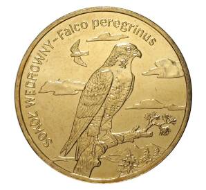 2 злотых 2008 года Сапсан — Фото №1