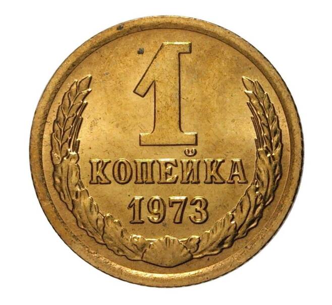 Монета 1 копейка 1973 года (Артикул M1-3883)
