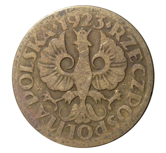 Монета 5 грошей 1923 года (Артикул: M2-0397) — Фото №2