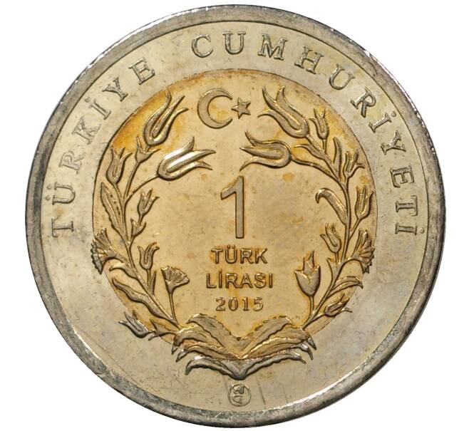 Сколько рублей в 1 лире. Турецкие Лиры в рубли.