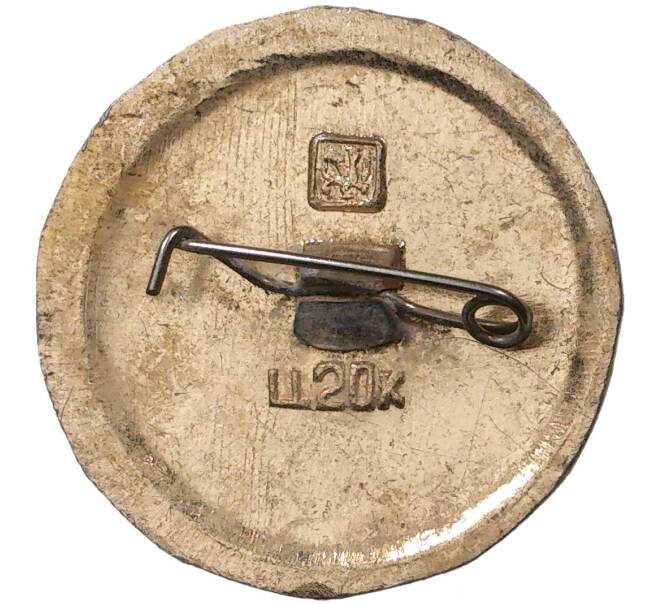 Значок «Древний герб города Сосница»
