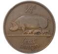 Монета 1/2 пенни 1953 года Ирландия (Артикул K27-0072)
