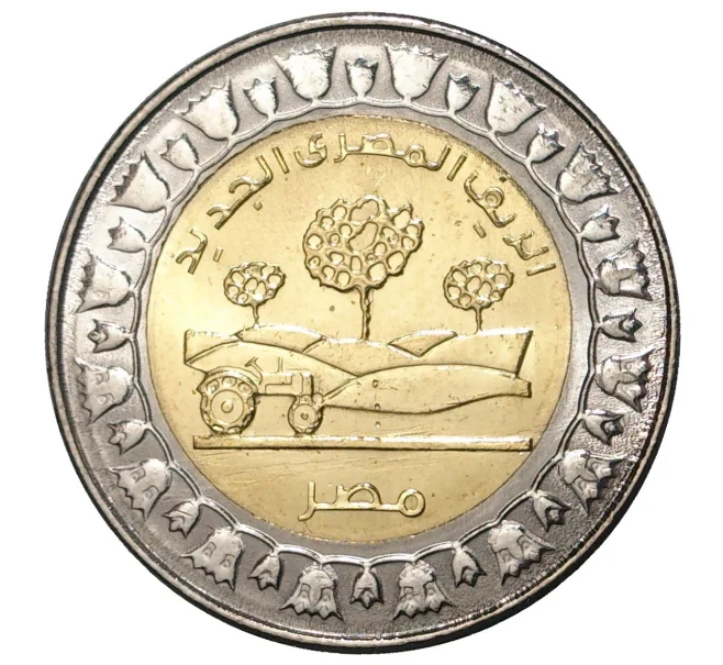 Монета 1 фунт 2019 года Египет «Новая Египетская деревня» (Артикул M2-31045)