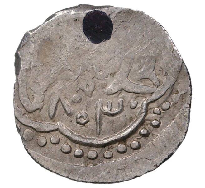 Данг 1401 года (АН 803) Золотая Орда — Хан Шадибек (Чекан города Орда ал-Джадид) (Артикул K1-1141)