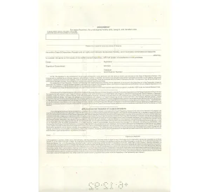 Облигация (сертификат на 100 акций) 1991 года США