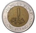1 фунт 2007 года Египет (Артикул M2-47761)