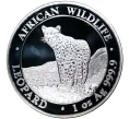 Монета 100 шиллингов 2018 года Сомали «Фауна Африки — Леопард» (Артикул M2-48492)
