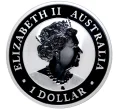 Монета 1 доллар 2021 года Австралия «Австралийская коала» (Артикул M2-48825)