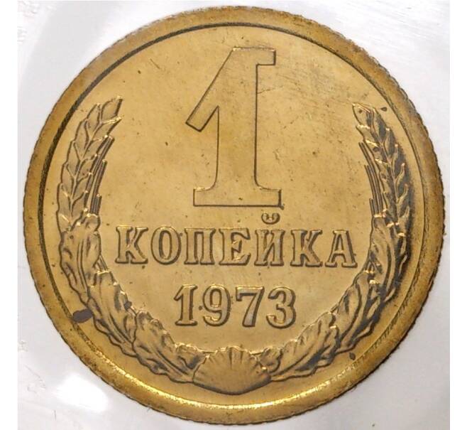 Монета 1 копейка 1973 года (Артикул M1-38212)