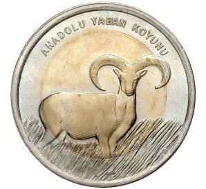 1 лира 2015 года Турция «Фауна Турции — Муфлон» — Фото №1