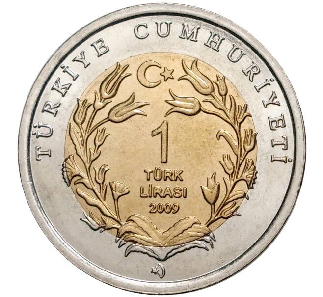 Монета 1 лира 2009 года Турция «Фауна Турции — Морская черепаха» (Артикул M2-4491)