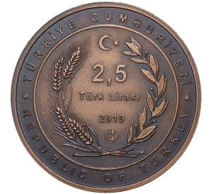 2,5 лиры 2019 года Турция — Сеид Насими (с сертификатом) — Фото №2
