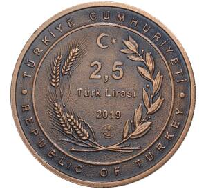 2,5 лиры 2019 года Турция — Ходжа Насреддин (с сертификатом) — Фото №2