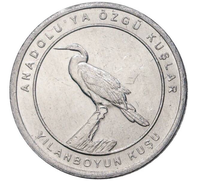 Монета 1 куруш 2020 года Турция «Птицы Анатолии — Африканская змеешейка» (Артикул K27-3048)