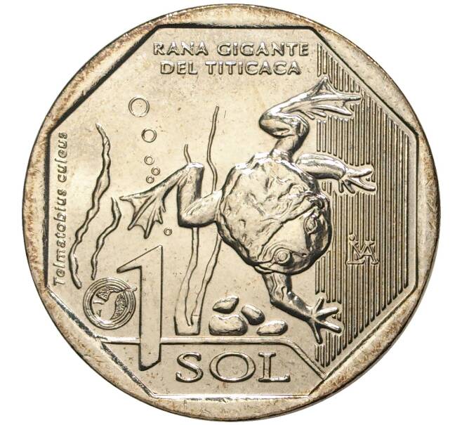 Монета 1 соль 2019 года Перу «Фауна Перу — Водная лягушка Титикака» (Артикул M2-49791)