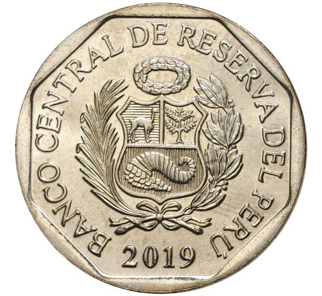 Монета 1 соль 2019 года Перу «Фауна Перу — Водная лягушка Титикака» (Артикул M2-49791)