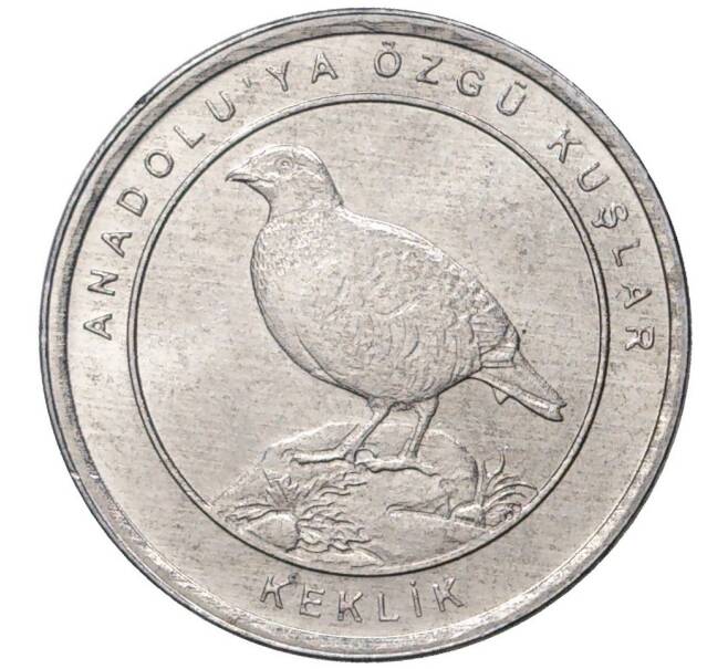Монета 1 куруш 2020 года Турция «Птицы Анатолии — Азиатский кеклик» (Артикул K27-3155)