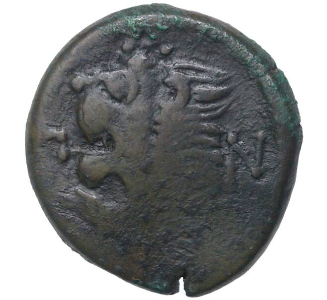 Тетрахалк 300-275 года до н.э. Пантикапей (Артикул M2-50822)